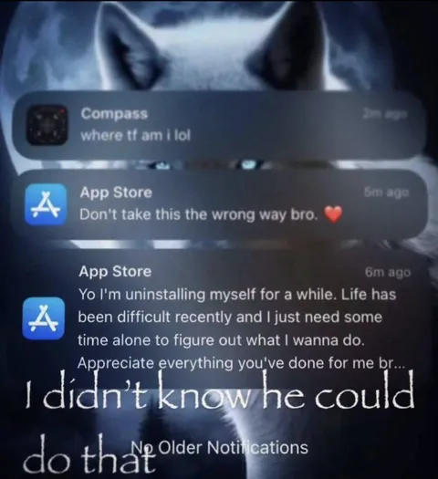App Store Uninstalls Itself