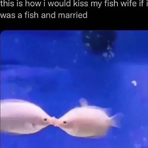 Fish Wife Kiss