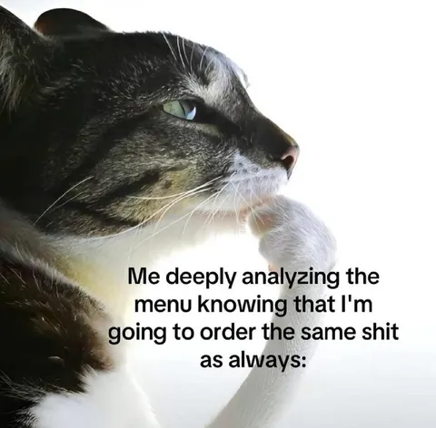 Cat Analyzing the Menu