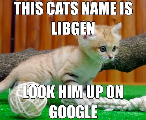 Libgen Cat Google Search
