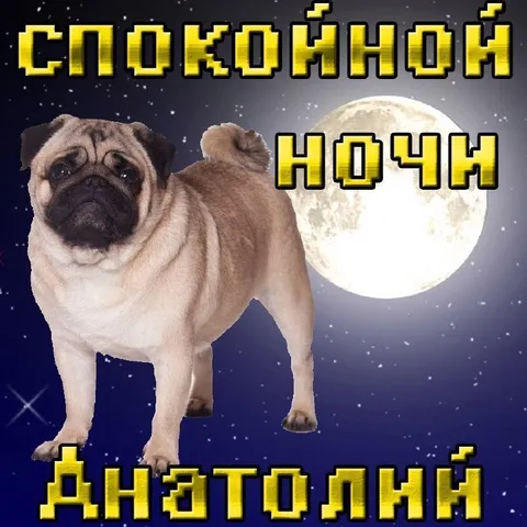 Спокойной ночи Днятоллин