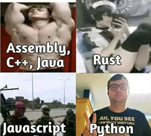 Programming Languages Strength Meme