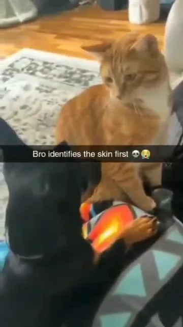 Bro Identifies the Skin First