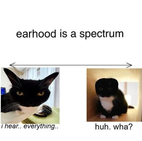 Earhood Is a Spectrum
