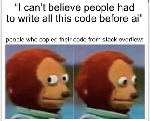 Stack Overflow Code Copying