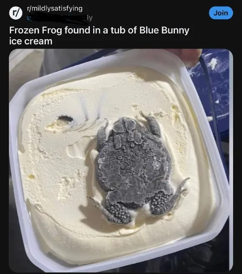 Frozen Frog in Blue Bunny Ice Cream