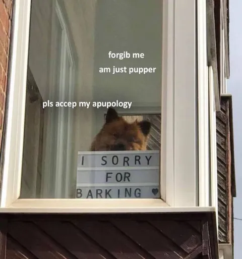 Puppy Apology for Barking