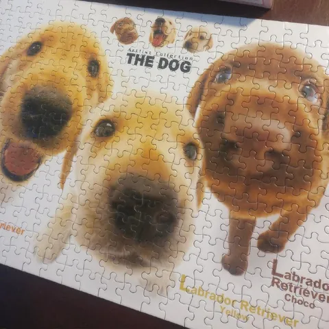 All the Different Dogs Puzzle