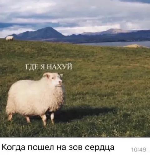 Когда пошел на зов сердца
