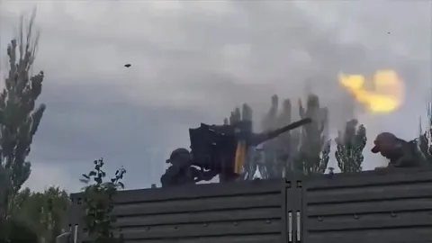 Пушка танцует под диско