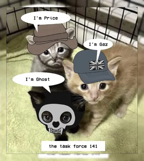 Task Force 141 Kittens