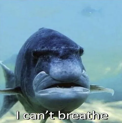 I Can't Breathe Manatee