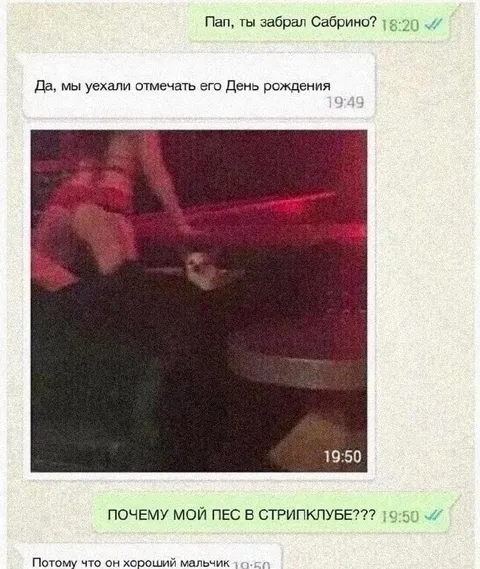 Пёс оказался в стрипклубе