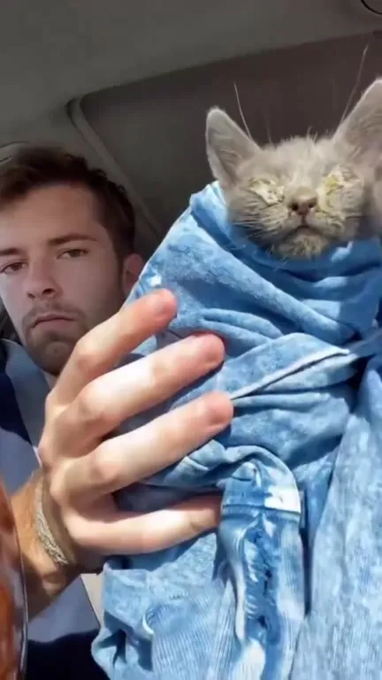 Kitten Becomes His New Best Friend