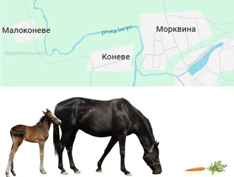 Кінь у Морквині