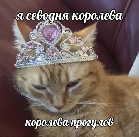 Королева прогулов сегодня
