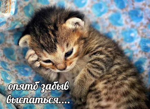 Опять забыл выспаться