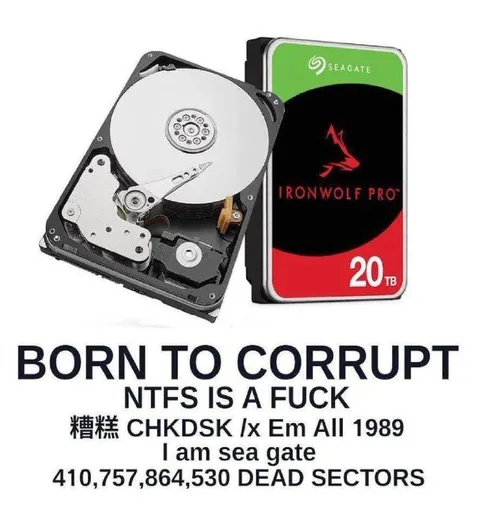 Born to Corrupt Hard Drive