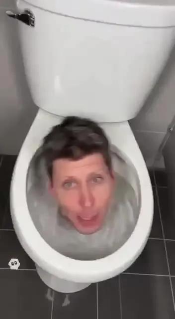 Сэм Альтман в туалете