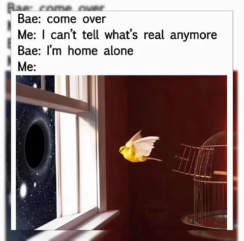 Bird Escapes Into Space