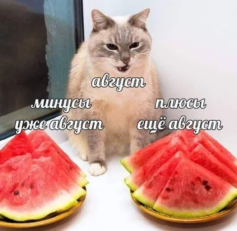 Минусы и плюсы августа