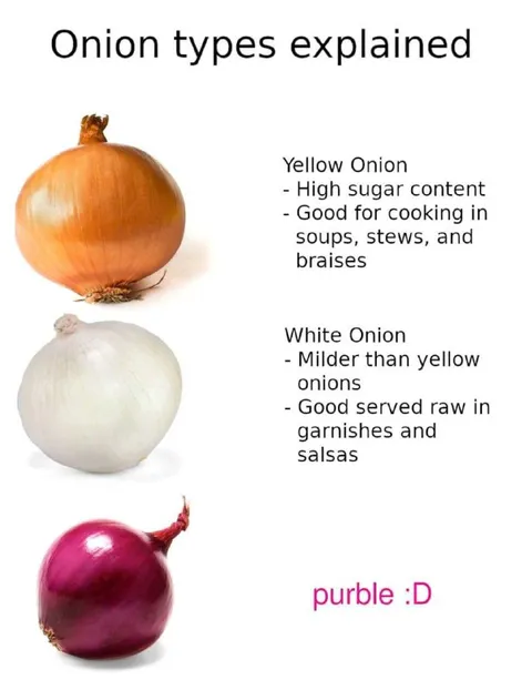 Onion Types Explained