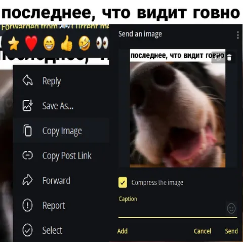 Последнее, что видит говно