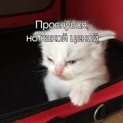 Проснуться какой ценой