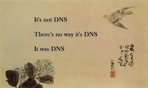 It Was DNS All Along