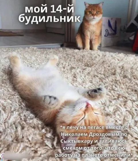 Мой 14-й будильник