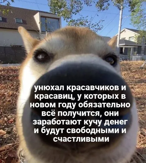 Нюхнул успешных людей
