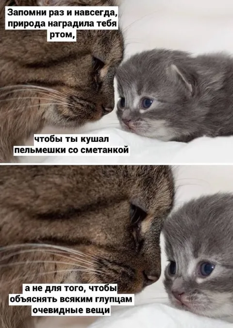 Рот для пельмешков