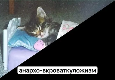 Анархо-вкроваткуложизм