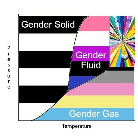 Gender Phase Diagram