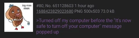 Big Miss Steak Computer Shutdown