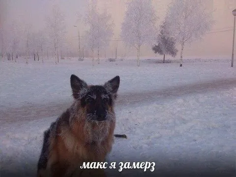Макс, я замерз