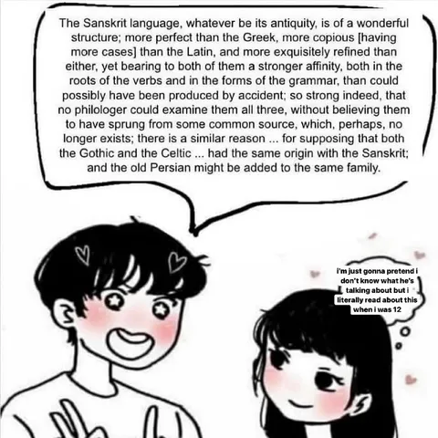 Pretending to Understand Sanskrit