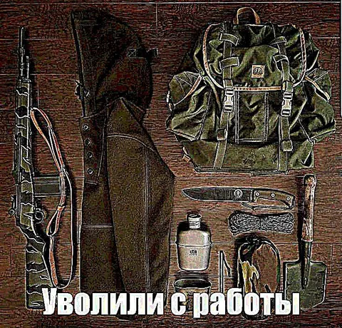 Уволили с работы — собираюсь выживать