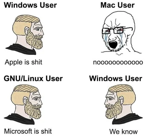 Windows Mac Linux User Meme