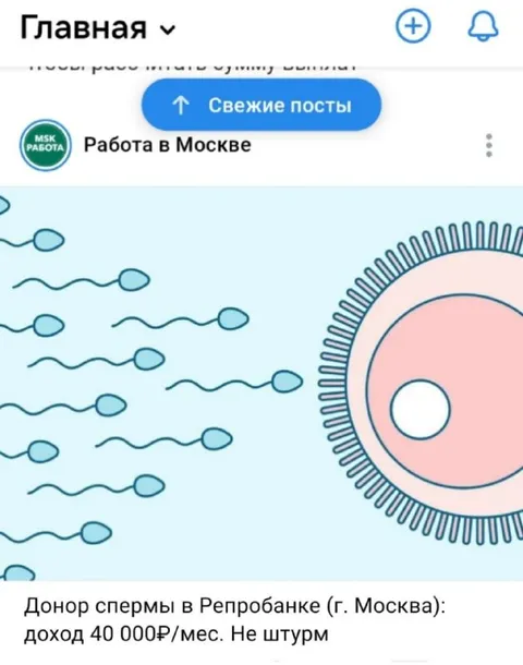 Донор спермы в Репробанке