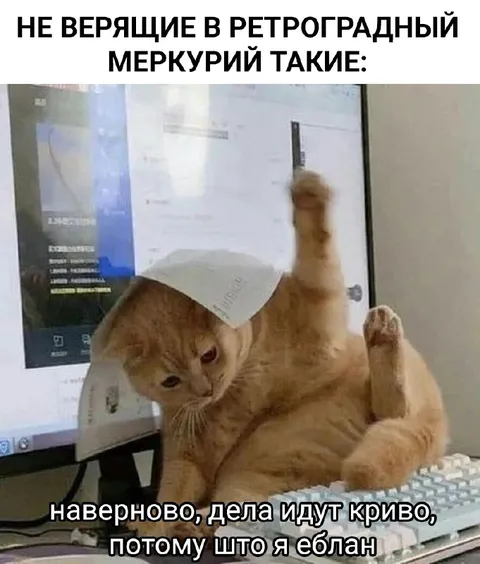 Кот во время ретроградного Меркурия