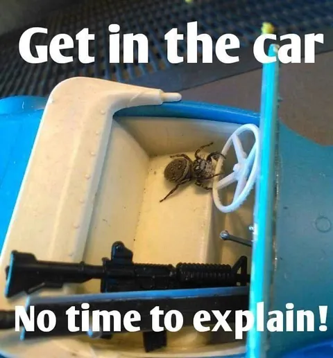 Get in the Car No Time to Explain