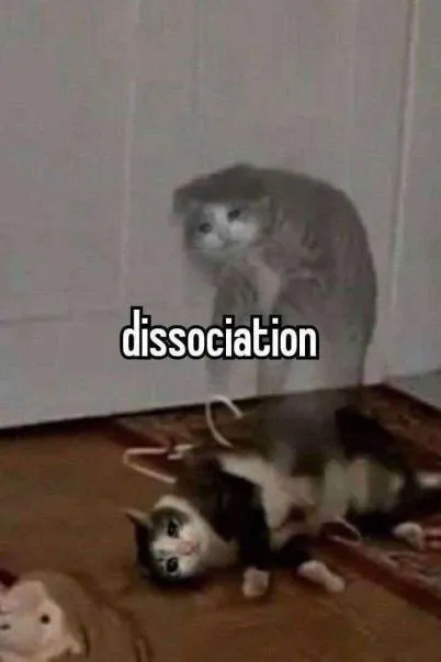Dissociation Cat