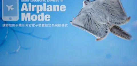 飛航模式中的電子裝置