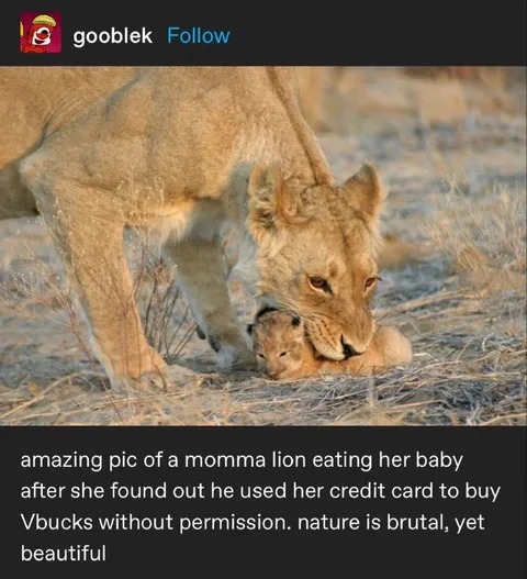 Lion Mom Punishes V-Bucks Thief