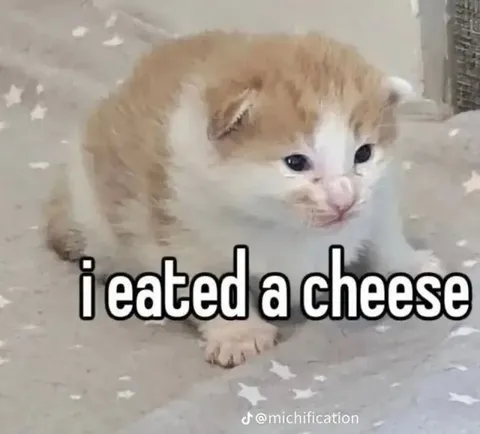 I Ate a Cheese