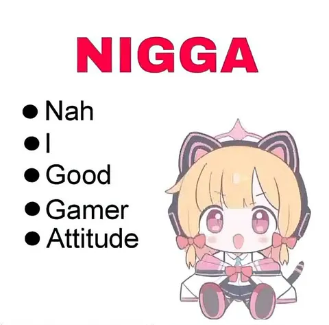 NIGGA Gamer Attitude Acronym