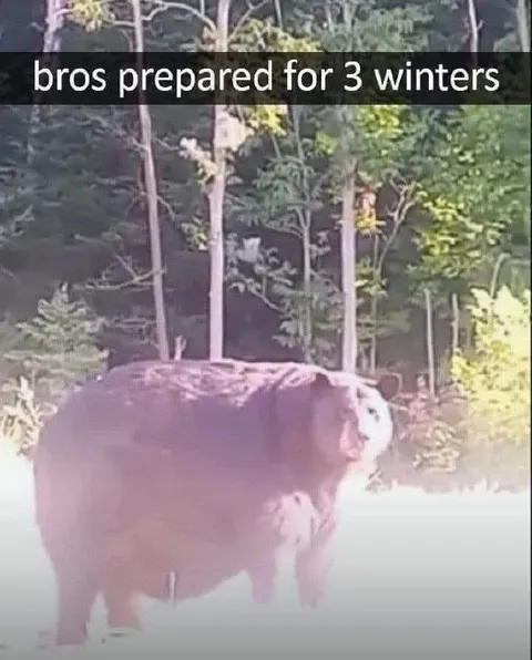 Bros Prepared for Three Winters