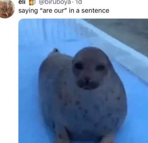 Seal Saying Are Our