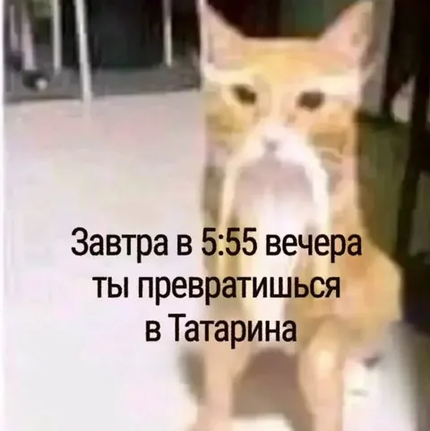 Превратишься в татарина